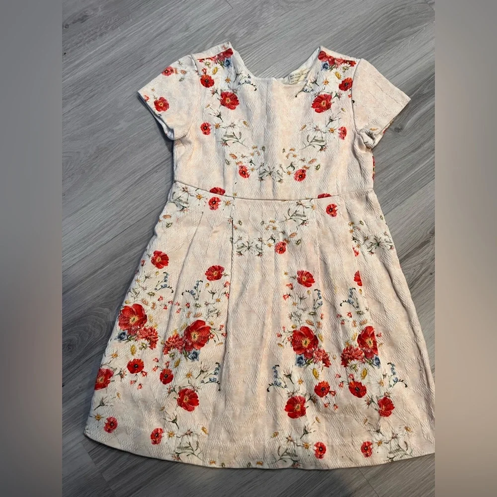 ZARA Floral Embroidered Dress‎